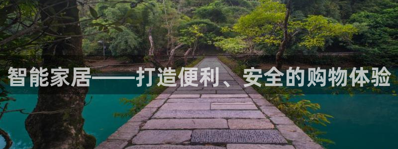 智能家居——打造便利、安全的购物体验