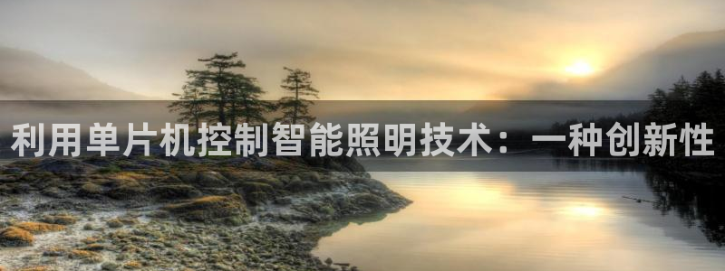 利用单片机控制智能照明技术：一种创新性