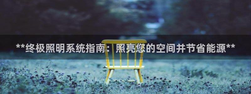 **终极照明系统指南：照亮您的空间并节省能源**