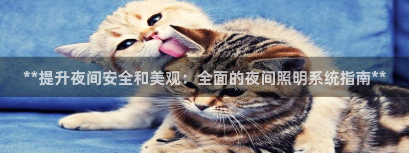 **提升夜间安全和美观：全面的夜间照明系统指南**