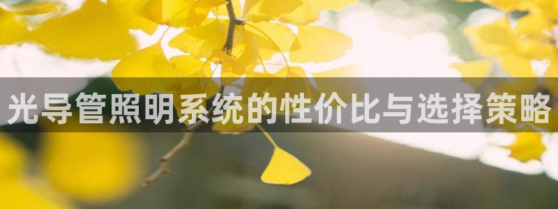 光导管照明系统的性价比与选择策略