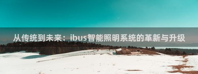 从传统到未来：ibus智能照明系统的革新与升级