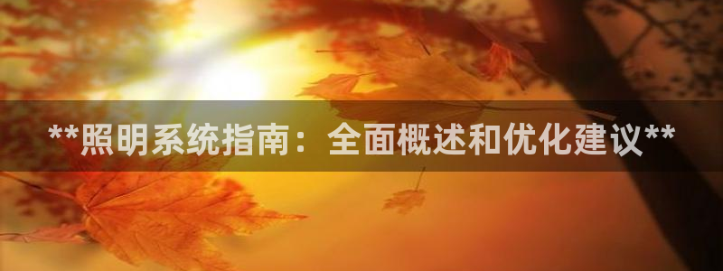 **照明系统指南：全面概述和优化建议**