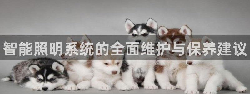 智能照明系统的全面维护与保养建议