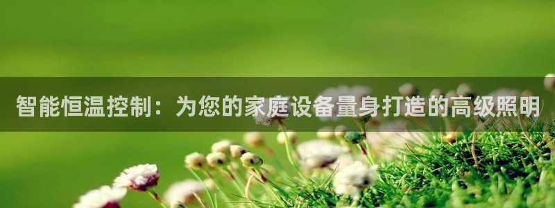 智能恒温控制：为您的家庭设备量身打造的高级照明