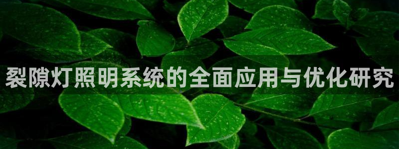 裂隙灯照明系统的全面应用与优化研究