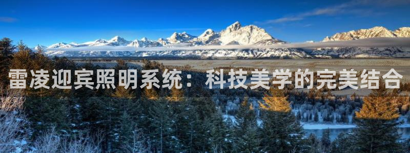 雷凌迎宾照明系统：科技美学的完美结合