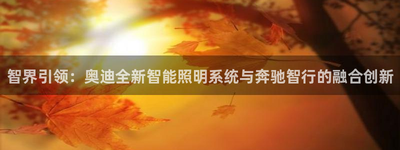 智界引领：奥迪全新智能照明系统与奔驰智行的融合创新
