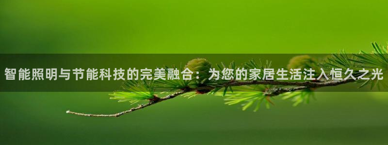 智能照明与节能科技的完美融合：为您的家居生活注入恒久之光