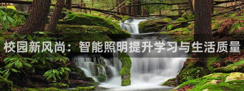 校园新风尚：智能照明提升学习与生活质量