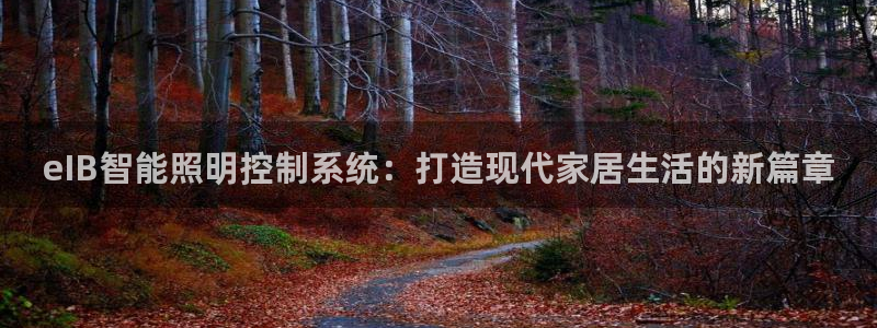 eIB智能照明控制系统：打造现代家居生活的新篇章
