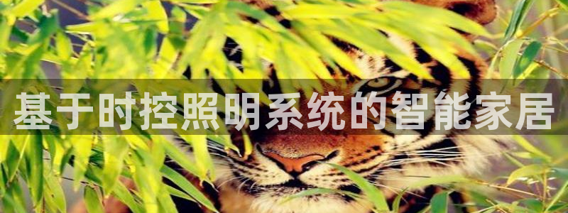 基于时控照明系统的智能家居