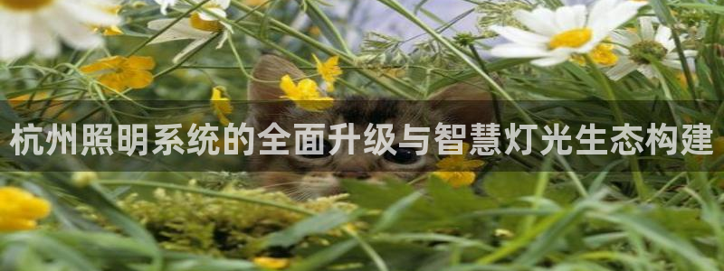 杭州照明系统的全面升级与智慧灯光生态构建