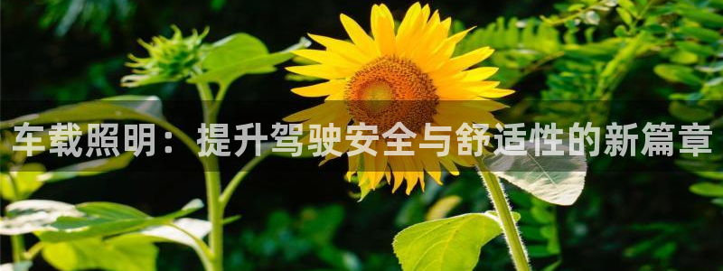 车载照明：提升驾驶安全与舒适性的新篇章