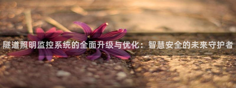 隧道照明监控系统的全面升级与优化：智慧安全的未来守护者