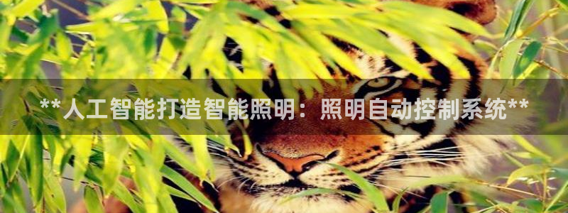 **人工智能打造智能照明：照明自动控制系统**