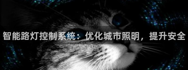 智能路灯控制系统：优化城市照明，提升安全