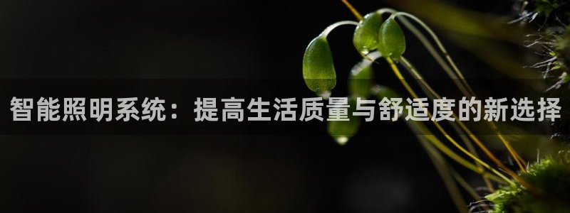 智能照明系统：提高生活质量与舒适度的新选
