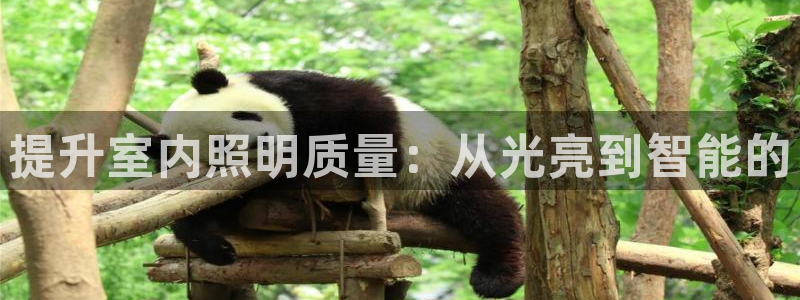 提升室内照明质量：从光亮到智能的