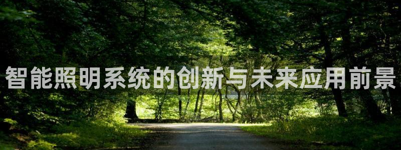 智能照明系统的创新与未来应用前景