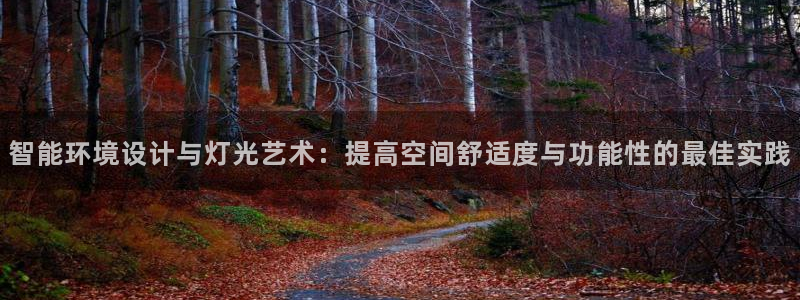 智能环境设计与灯光艺术：提高空间舒适度与功能性的最佳实践