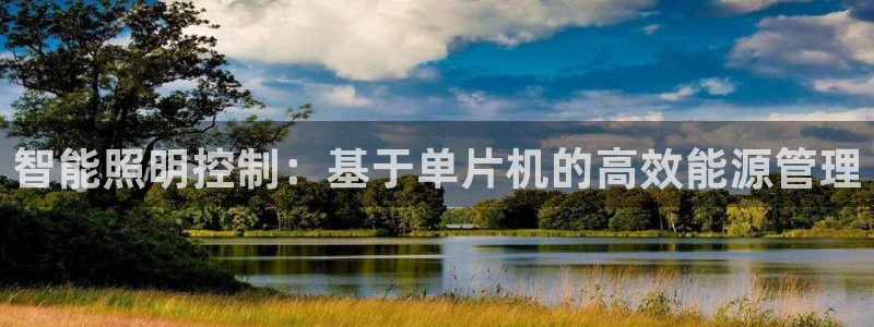 智能照明控制：基于单片机的高效能源管理