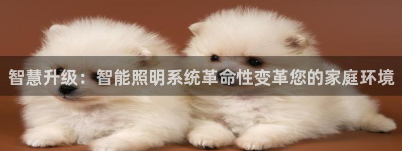 智慧升级：智能照明系统革命性变革您的家庭环境