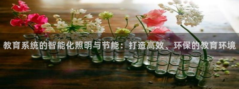 教育系统的智能化照明与节能：打造高效、环保的教育环境