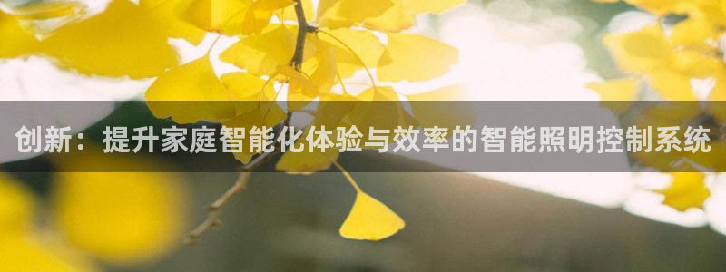 创新：提升家庭智能化体验与效率的智能照明