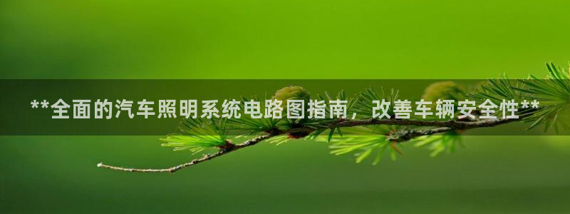 **全面的汽车照明系统电路图指南，改善车