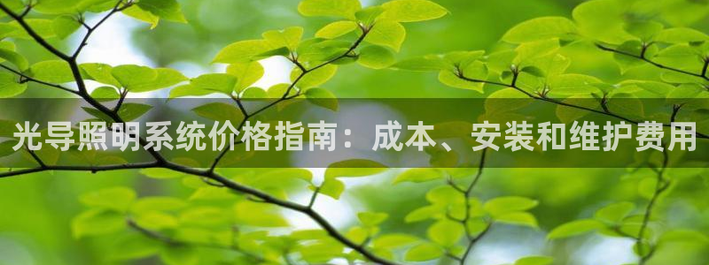 光导照明系统价格指南：成本、安装和维护费