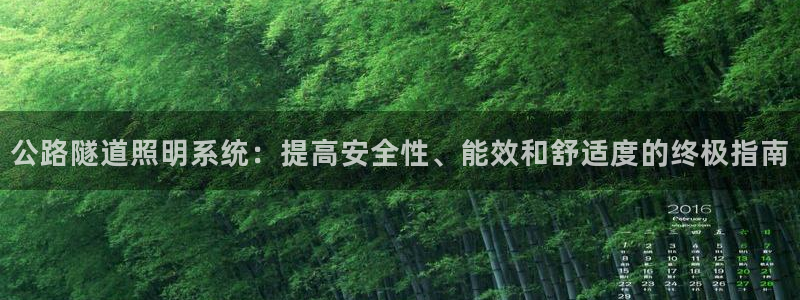 公路隧道照明系统：提高安全性、能效和舒适