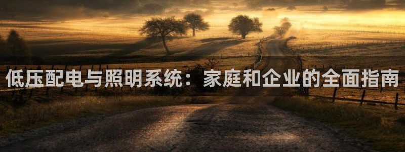 低压配电与照明系统：家庭和企业的全面指南